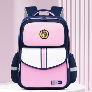 GO-2028-Blue/Pink ― Интернет-магазин "Сумкины Дети"