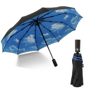 Umbr-360-Clouds ― Интернет-магазин "Сумкины Дети"